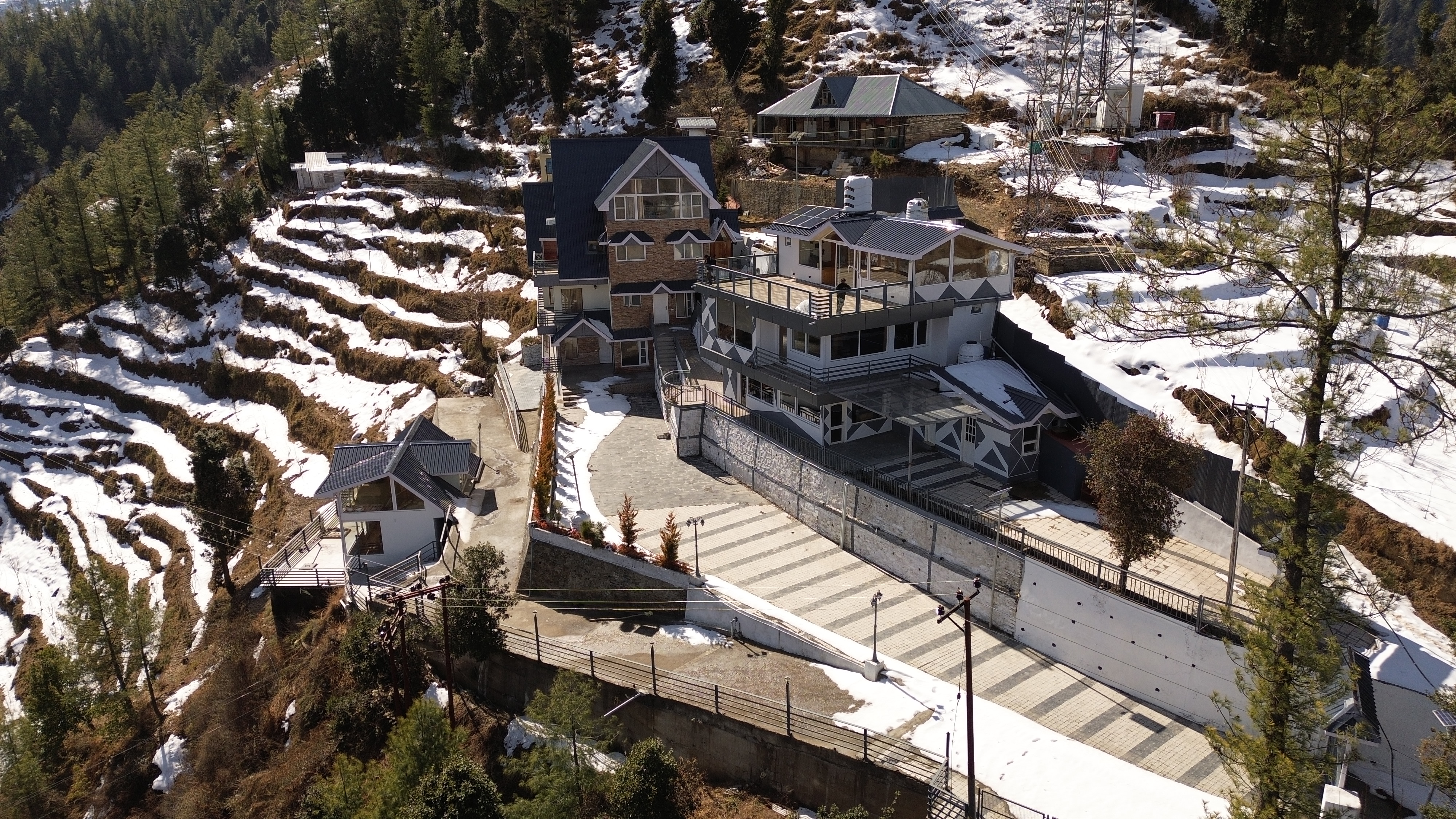 Apple Orchard Walkway