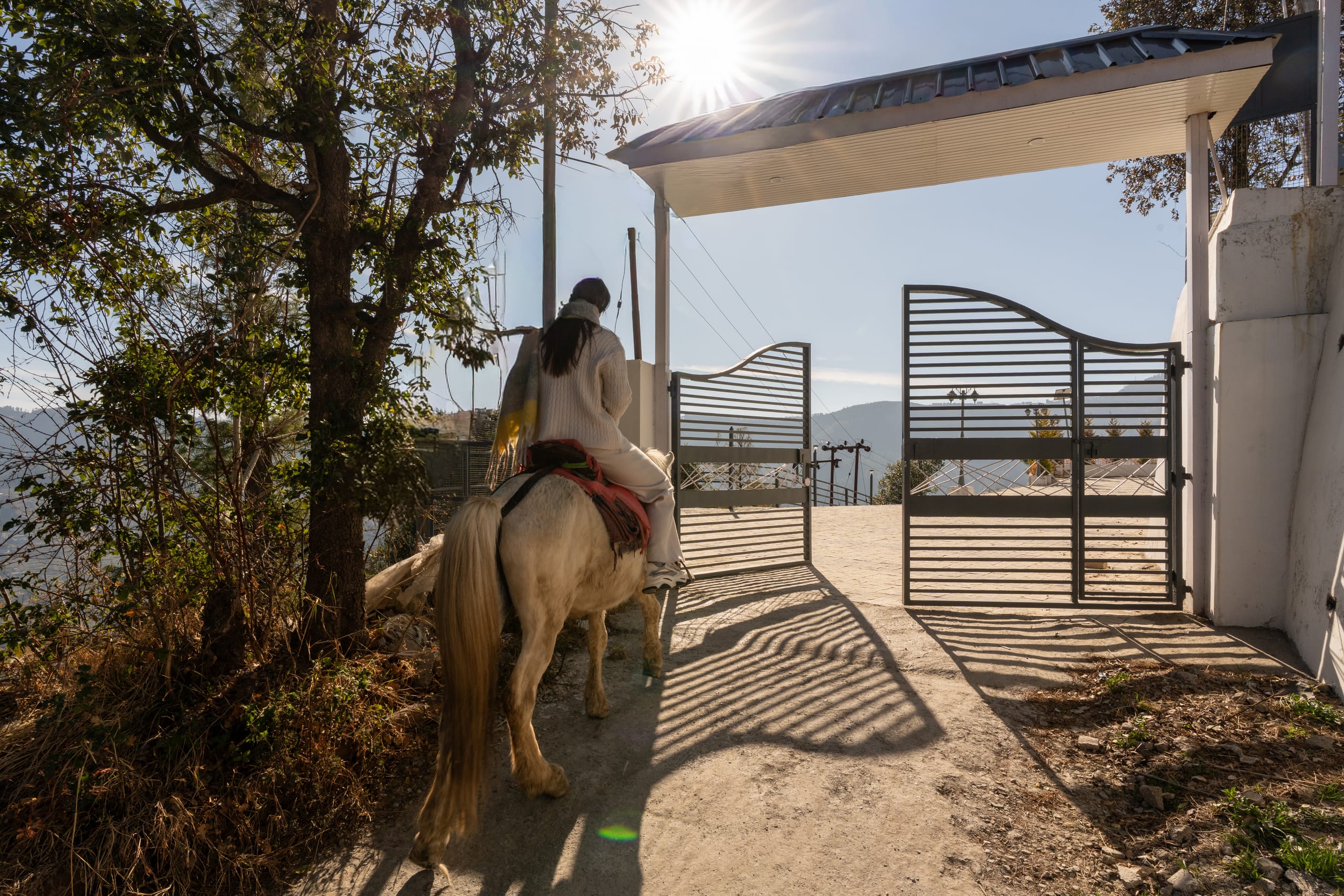 Orchard Hideaway - Image 1